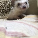 愛のある方募集します