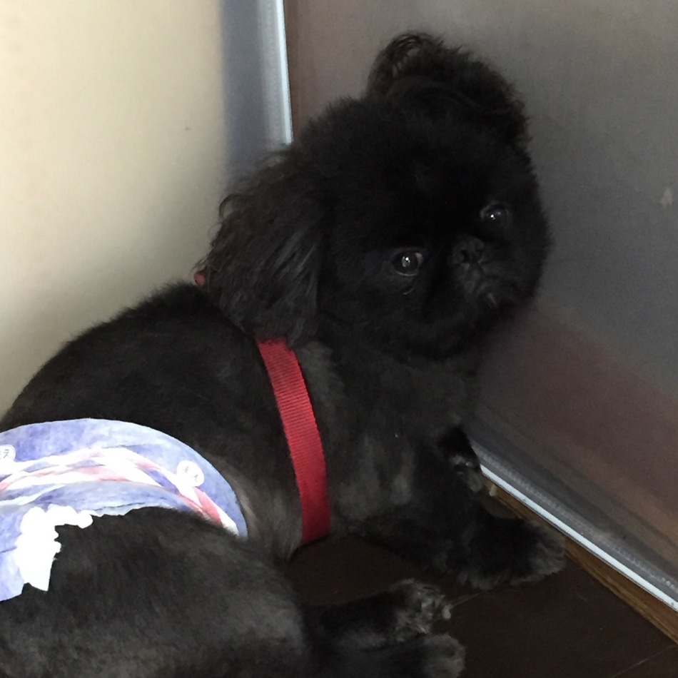 キズモのカバー写真