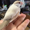 もとろ！