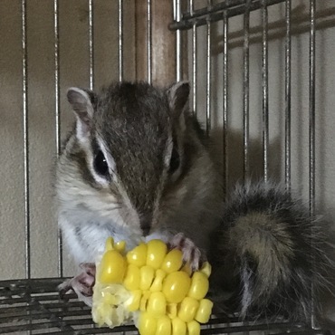 の写真