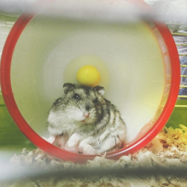 しげき1224のカバー写真