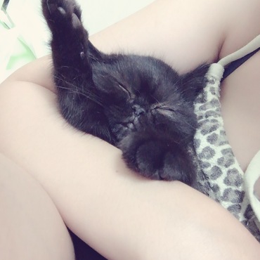抱っ子。抱っこされないと寝ないです。