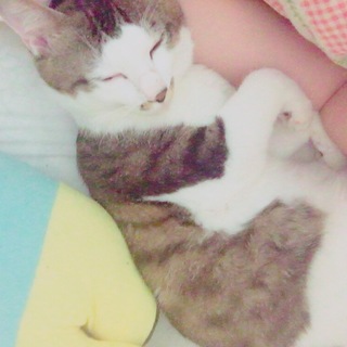 急ぎです（；゜０゜）