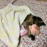 メルちゃんと ねんね