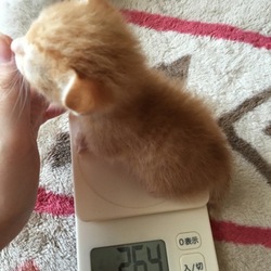 体重測定！