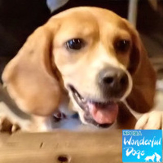 「フローネ」♀