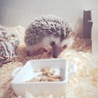 お食事タイム♪