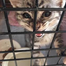 お騒がせしました