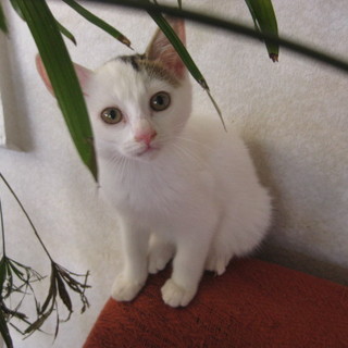 里親決定！！家族ができました(*´▽｀*)