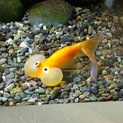 無事決まりました！