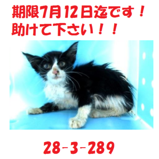 温かいご家族に素敵なご縁を頂きました♪