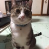  さん