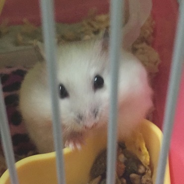 の写真