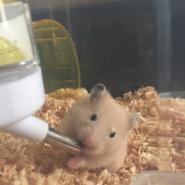 の写真