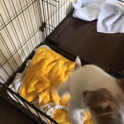 備忘録　カノン②