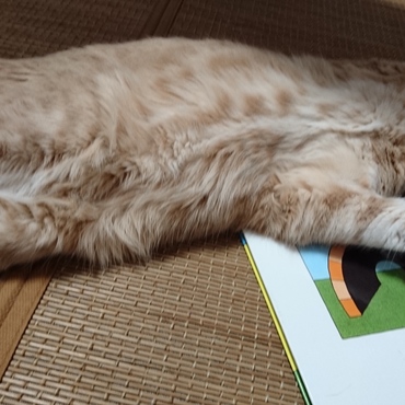 ばんざーーい！！