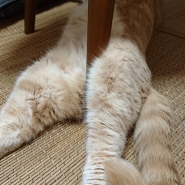 挟まっとるぞ～！！