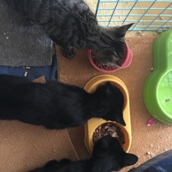 寂しがるのはまだ早い