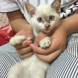 やんちゃで甘えんぼさん♪