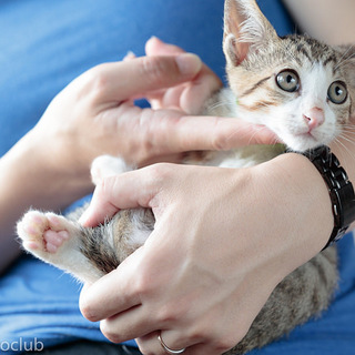 元気で懐こいふにくん