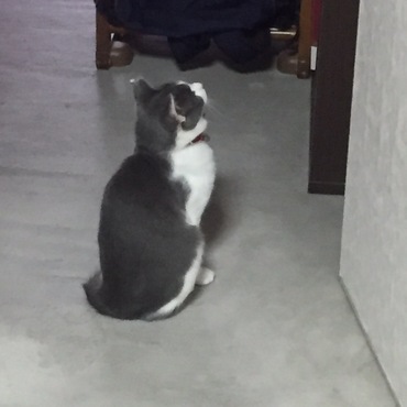 視線の先には何がある？