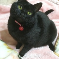 くろ
