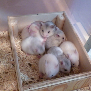 応募頂いた皆さん本当に有難うございました！！