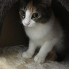 の写真