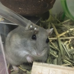 めたの最近