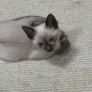 おこすなよぉ〜