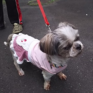 楽しいセカンドライフを与えて上げてください。