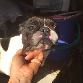 一旦締め切ります。