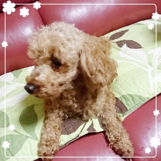 スレンダーボディ♡甘えん坊な、元ママあむちゃん♡