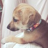 じゃっく