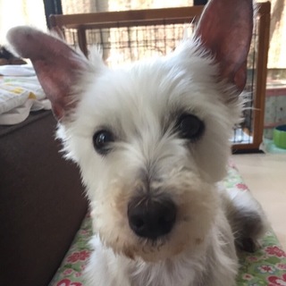 明るくて人懐っこい女の子♪