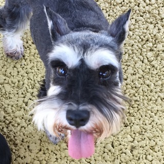 人懐っこくて可愛い女の子♪