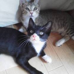 ずっとあなたを好きでいるからね～無垢な命と向き合って