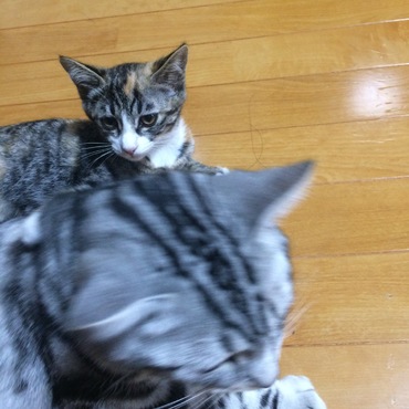 の写真
