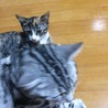 の写真
