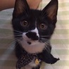 かわいい雄太君