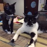 ちょっかいばかり出す雄太君