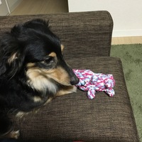 ばう