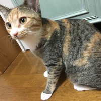 むぎ