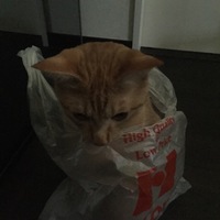 レオ