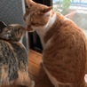  さん