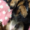 優しく面倒見てくださる方。