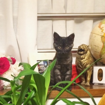 まだまだ家の中を探検中