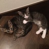 いつも仲良し