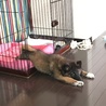 暇すぎて