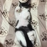 クロ